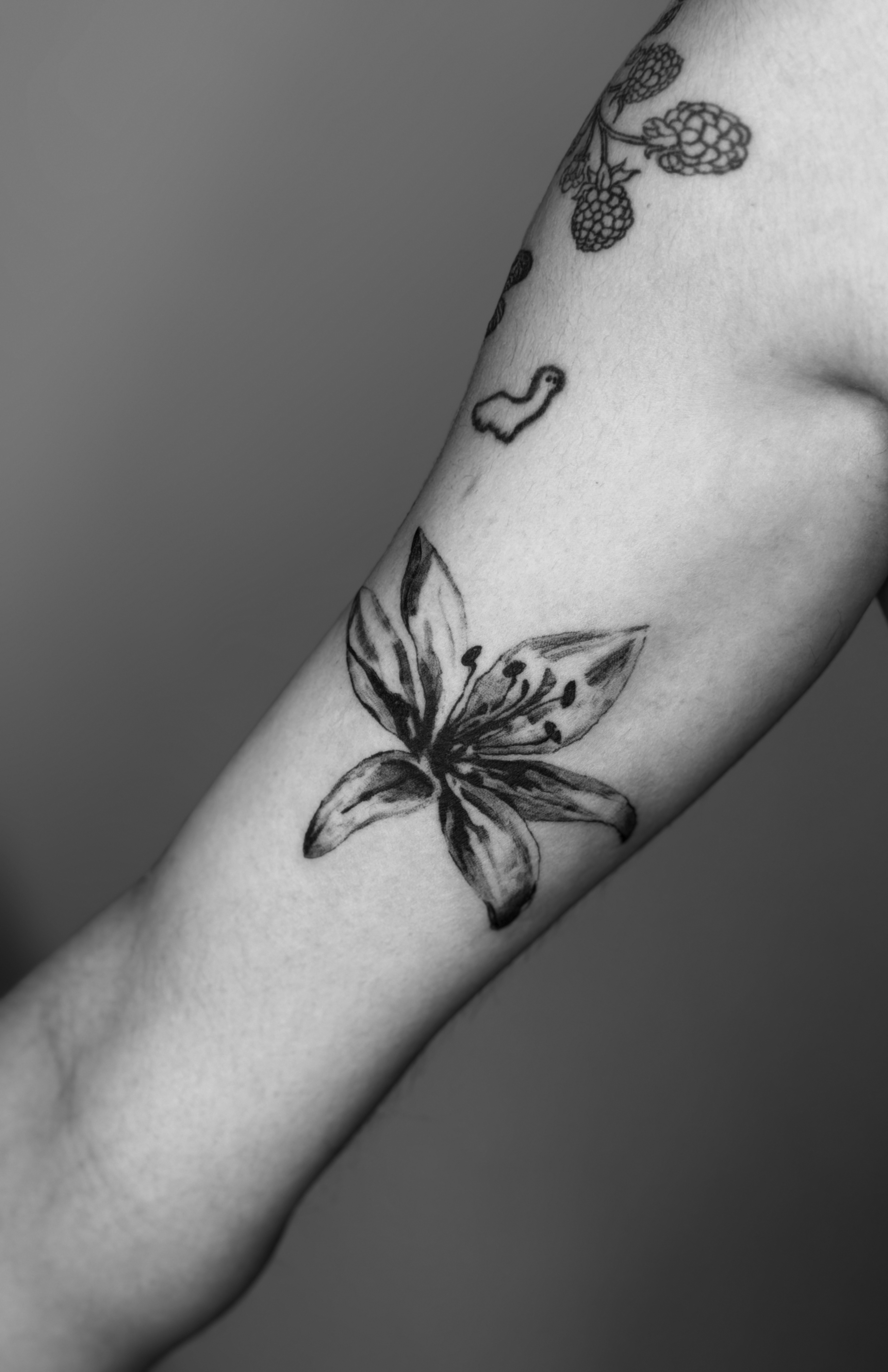 Illustrative / inner arm